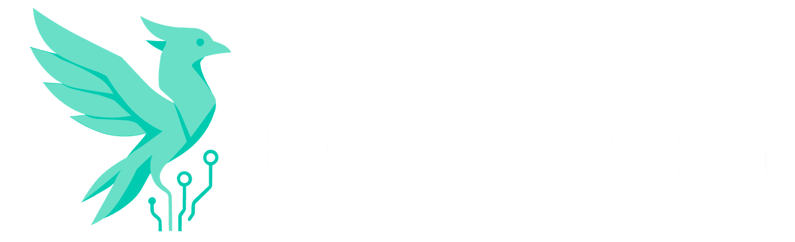 BGB Formation